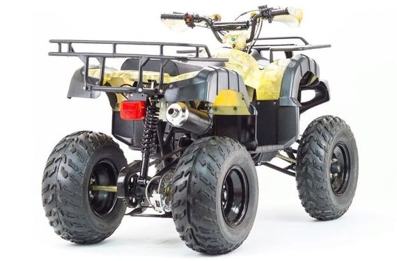 Квадроцикл MOTOLAND 250 Adventure (2021 Г.)