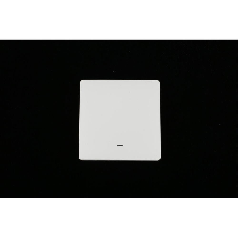 Выключатель одноклавишный Aployt Magnetic track 220 APL.0190.00.01