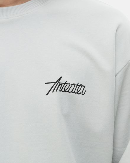 Лонгслив ANTEATER Phat Sleeve 109 серый