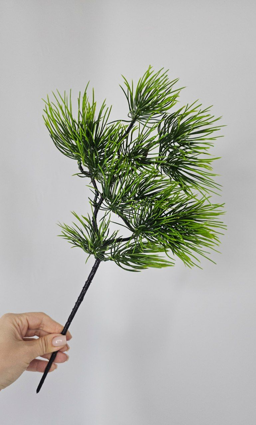 Бонсай сосна светло-зеленая / Арт 5102