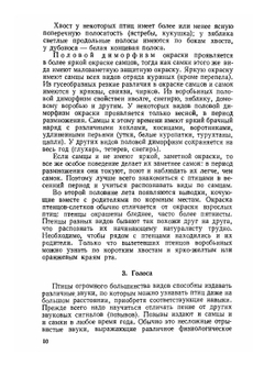 Экскурсионный определитель птиц Европейской части СССР | А.Н. Сунгуров