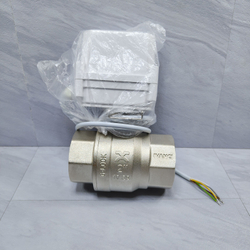 Gidrolock Professional 24V G-lock 2" BS FB