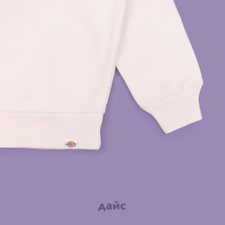 Толстовка мужская Dickies Enterprise Sweatshirt