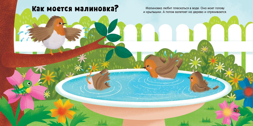 Животные и их малыши. Пора купаться!