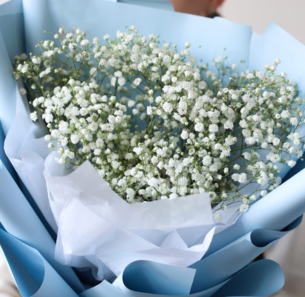 Букетик из белых гипсофил