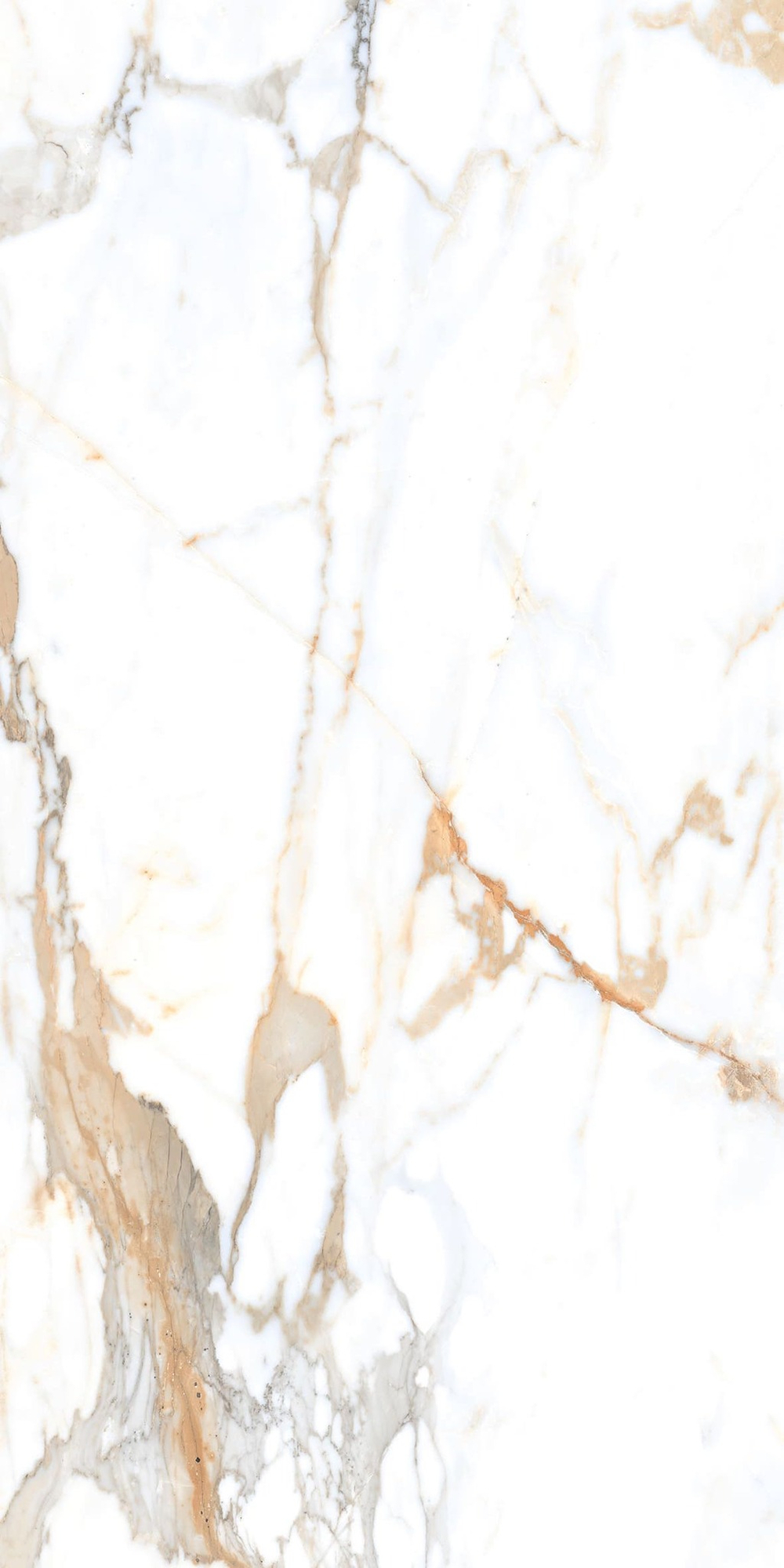 NT Ceramic Marmo Camela Statuario Mat 60x120