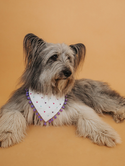 Бандана сиреневая с сердечками