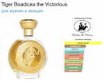 BOADICEA THE VICTORIOUS Tiger