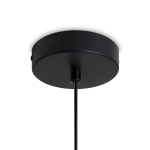 Подвесной светильник Freya MIXTURE FR5483PL-01B