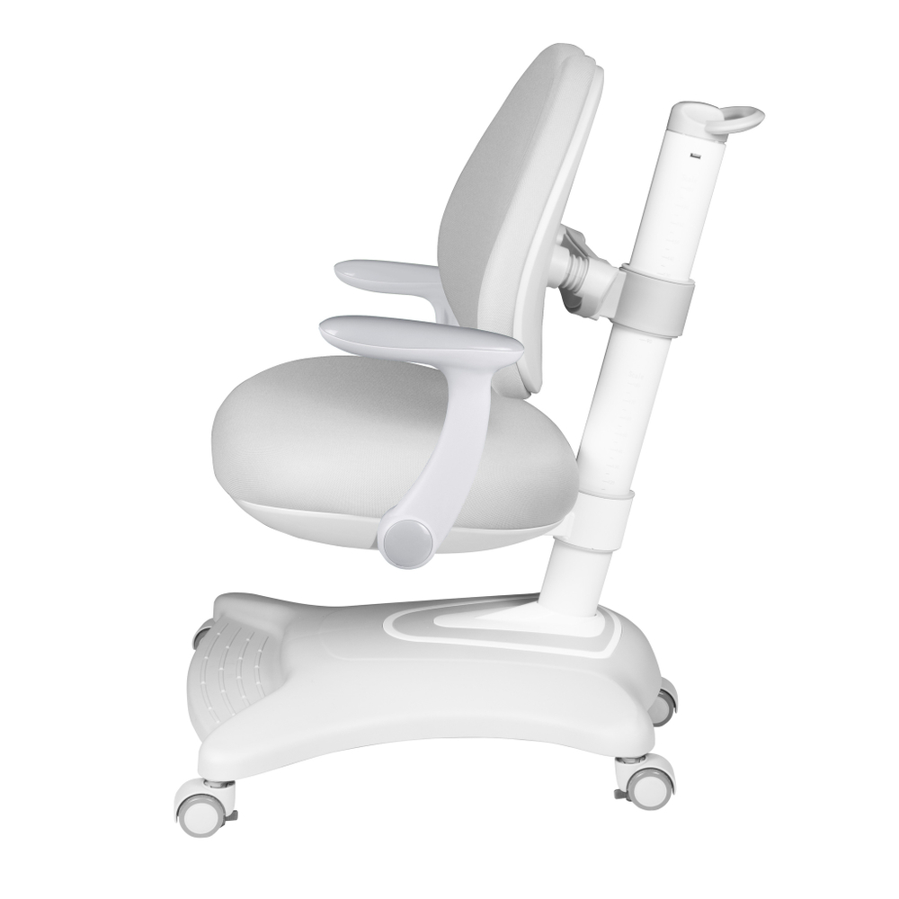 Эргономичное кресло Anatomica Robin Duos с подлокотниками