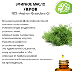 Эфирное масло укропа / Anethum Graveolens Oil