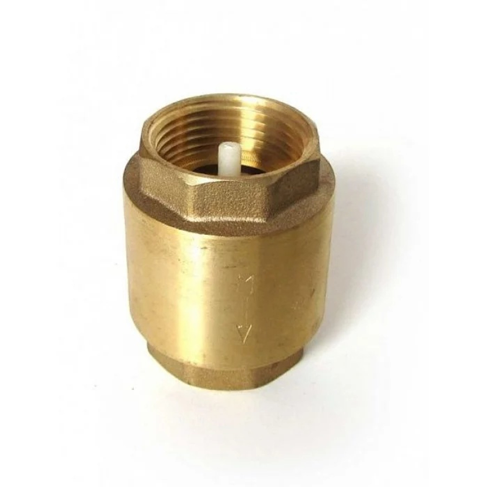 Обратный клапан 2" 10014