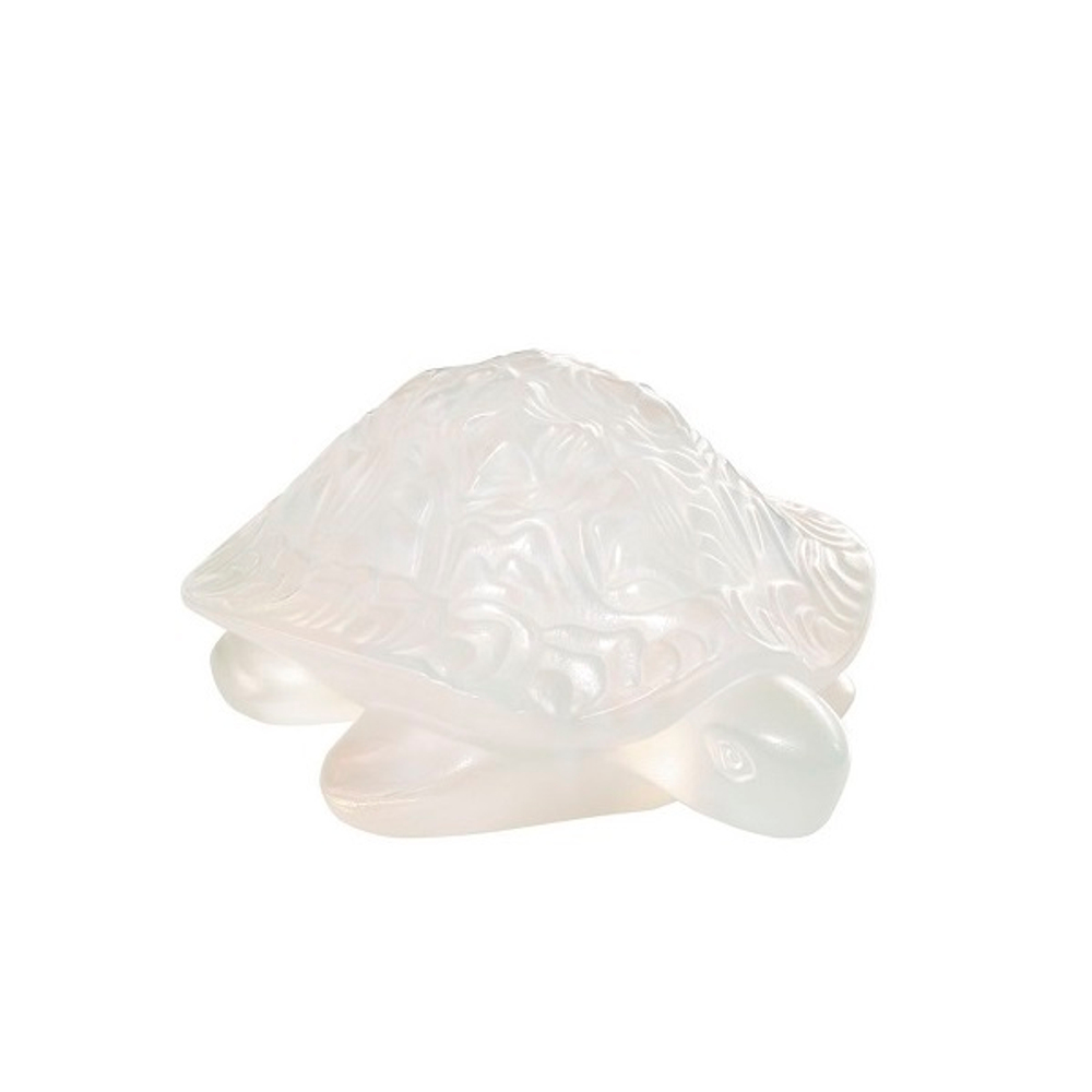 Черепашка Сидони