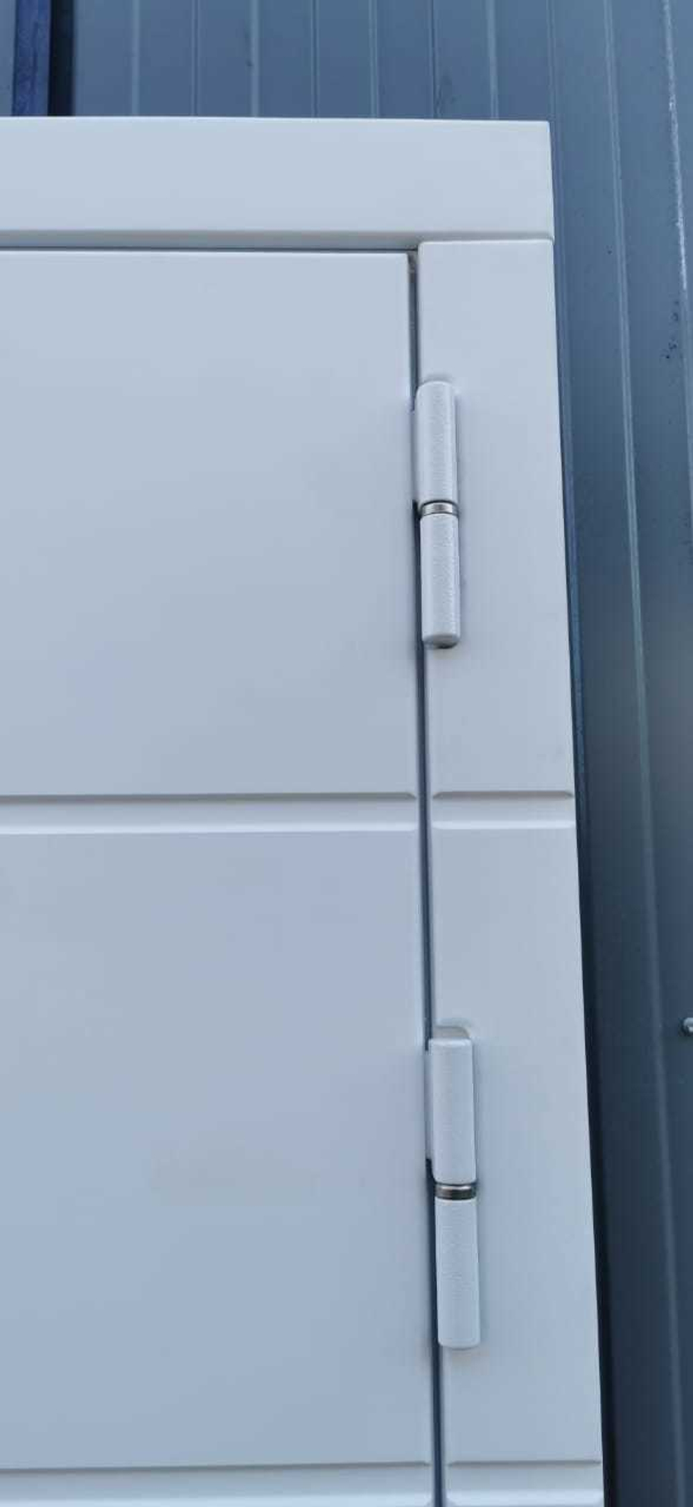 Входная белая дверь с зеркалом RеX (РЕКС) Трендо Силк сноу / ФЛ-117 Силк сноу (белый матовый, без текстуры)