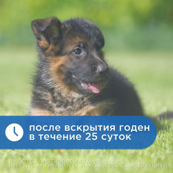 Отидез Форте ПЧЕЛОДАР, для собак и кошек, ушные капли, 15 мл. Бензокаин.