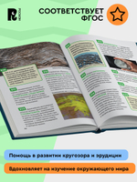 Птицы. Энциклопедия российского школьника