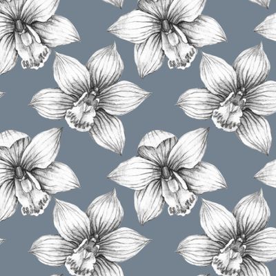 Орхидеи. Цветы