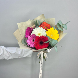 Солнечные герберы