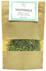 Черника обыкновенная (побег)