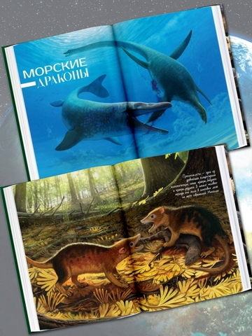 Здесь жили динозавры