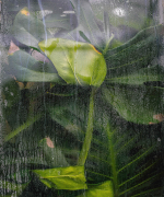 Дизайнерские обои Wall Street Frame-2019