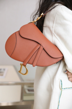 Christian Dior Saddle Bag 25 cm