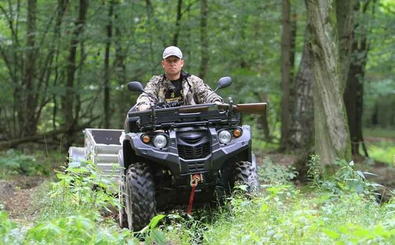 Квадроцикл BALTMOTORS Striker 700 EFI (ПСМ)