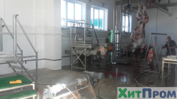 Линия ритуального убоя КРС 50 голов/смена. Ставропольский край