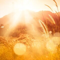 Отдушка CS - Залитый Солнцем (Sunwashed)