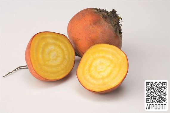 Болдор семена свеклы (Bejo / Бейо) продукт – фото 5