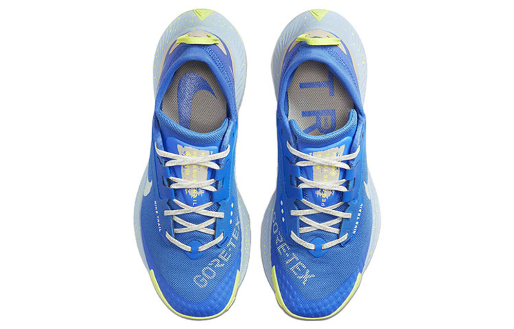 Кроссовки Nike Pegasus Trail 3 Gore-Tex (Женская размерная сетка)