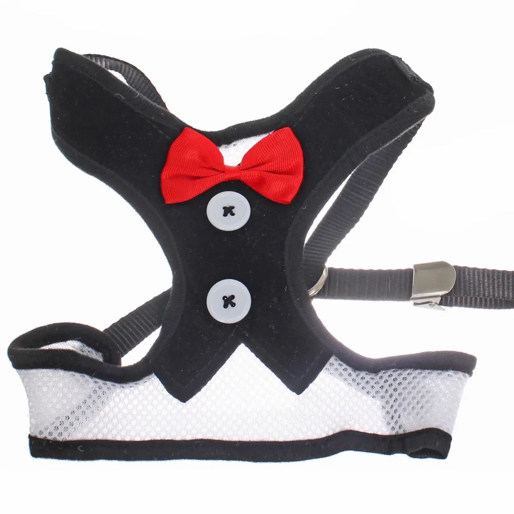 Шлейка с поводком для мелких пород собак и кошек «LAPUSIK», цвет черный, размер L