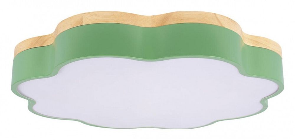 Накладной светильник Loft it Axel 10225/36 Green