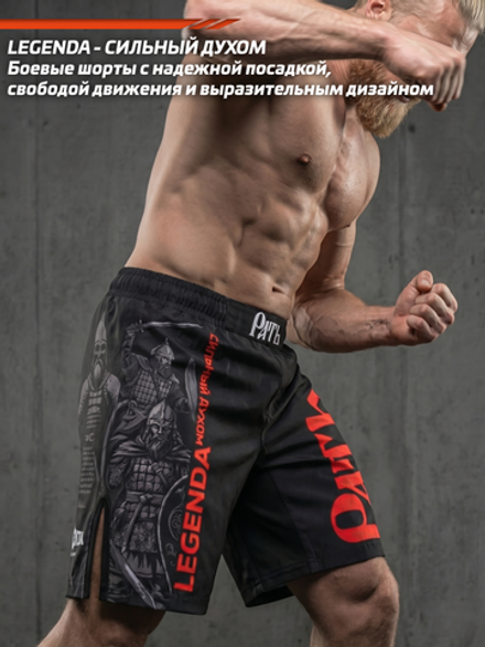 Шорты спортивные тренировочные LEGENDA Рать 2 Варяг черный