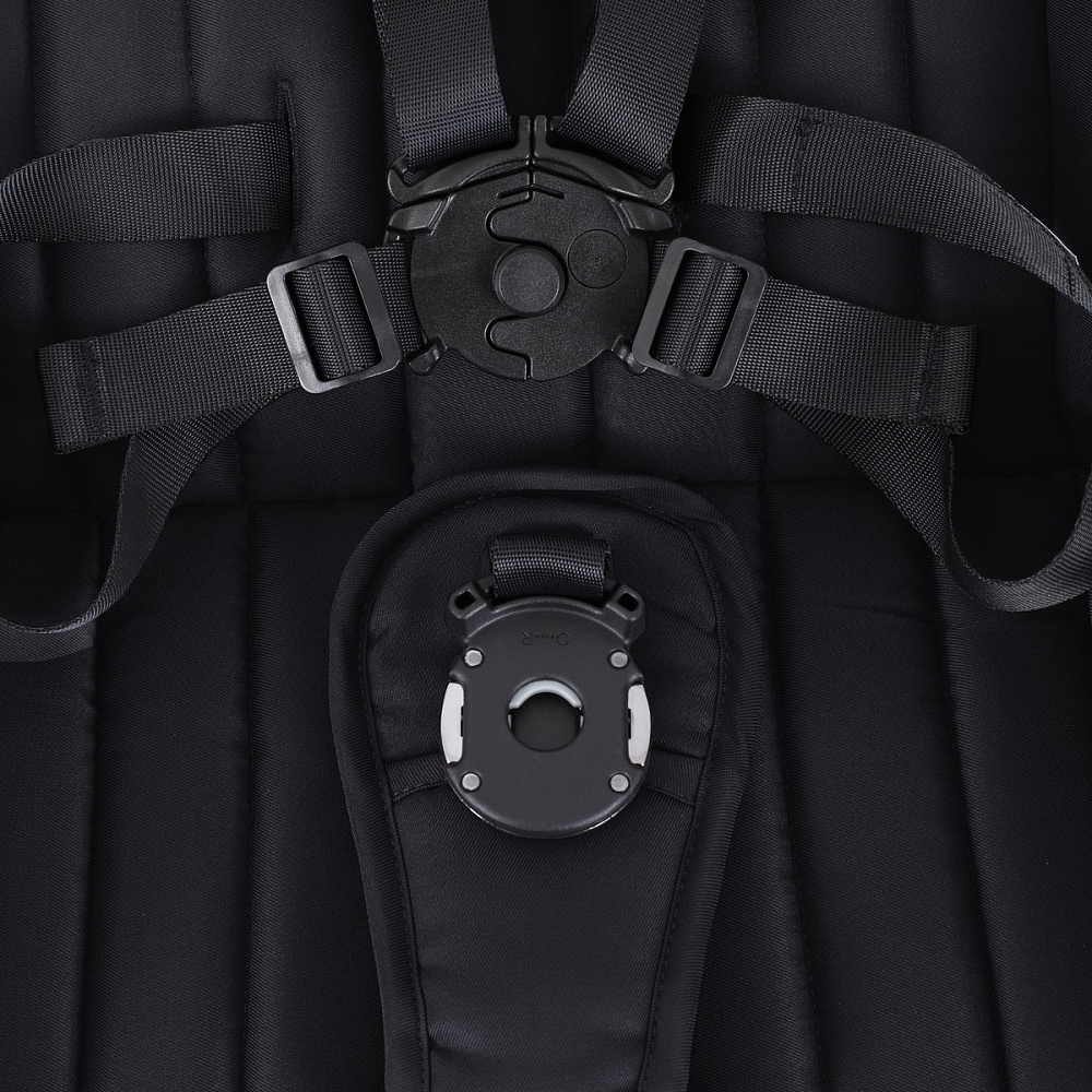 Детская коляска Rant Teo Black Chrome 2 в 1 Black