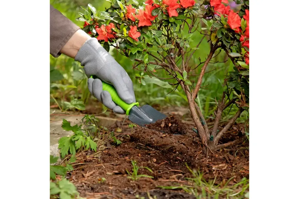 Совок посадочный узкий, 60 х 250 мм, стальной, пластиковая рукоятка, Standard, Palisad, 62652