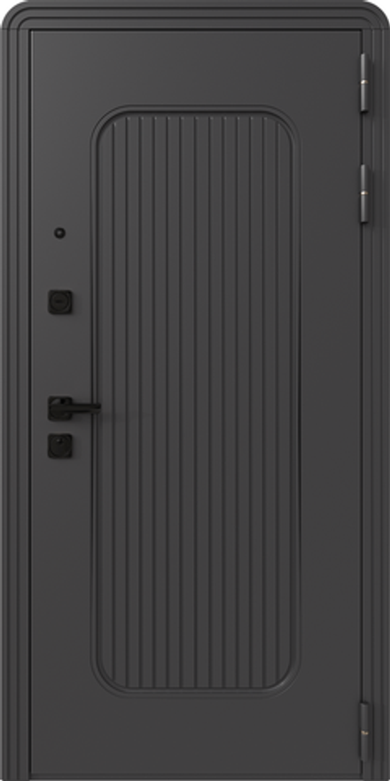 Дверь входная Монако