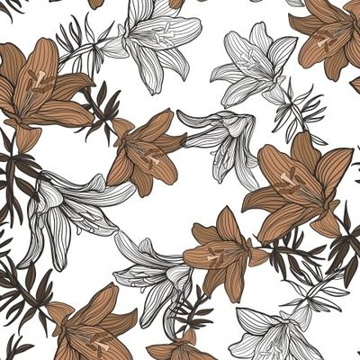 Лилии на белом фоне