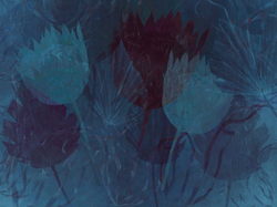 Коллекция SERENE