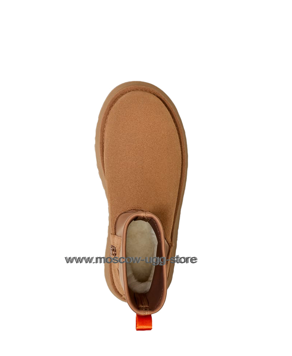 CLASSIC DIPPER-chestnut