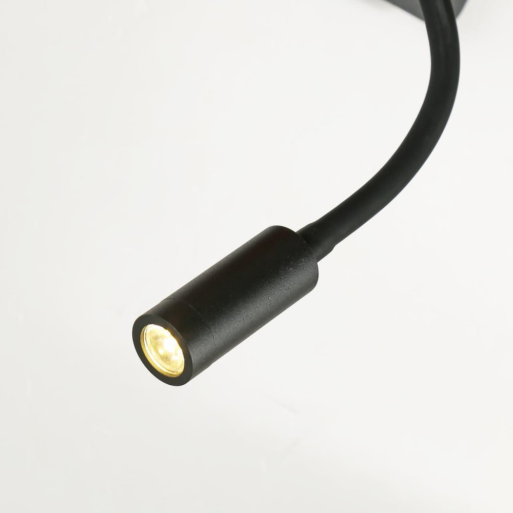 Настенный светильник Favourite Liga 2896-1W