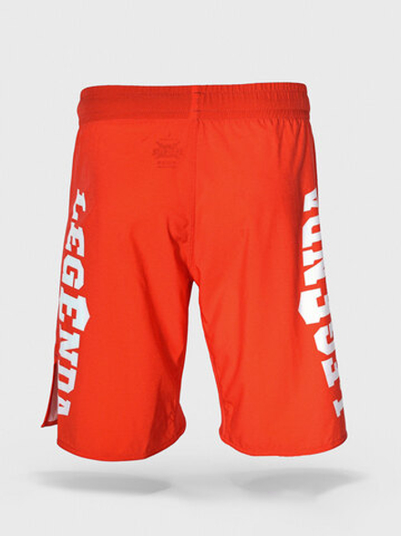 Шорты спортивные тренировочные LEGENDA Меч красный &