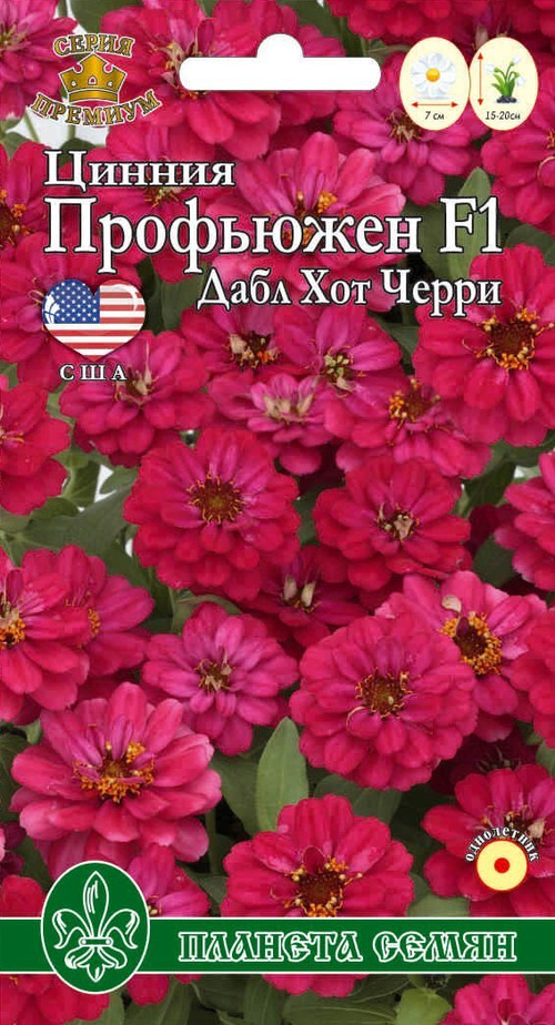Цинния Профьюжен F1 Дабл хот черри