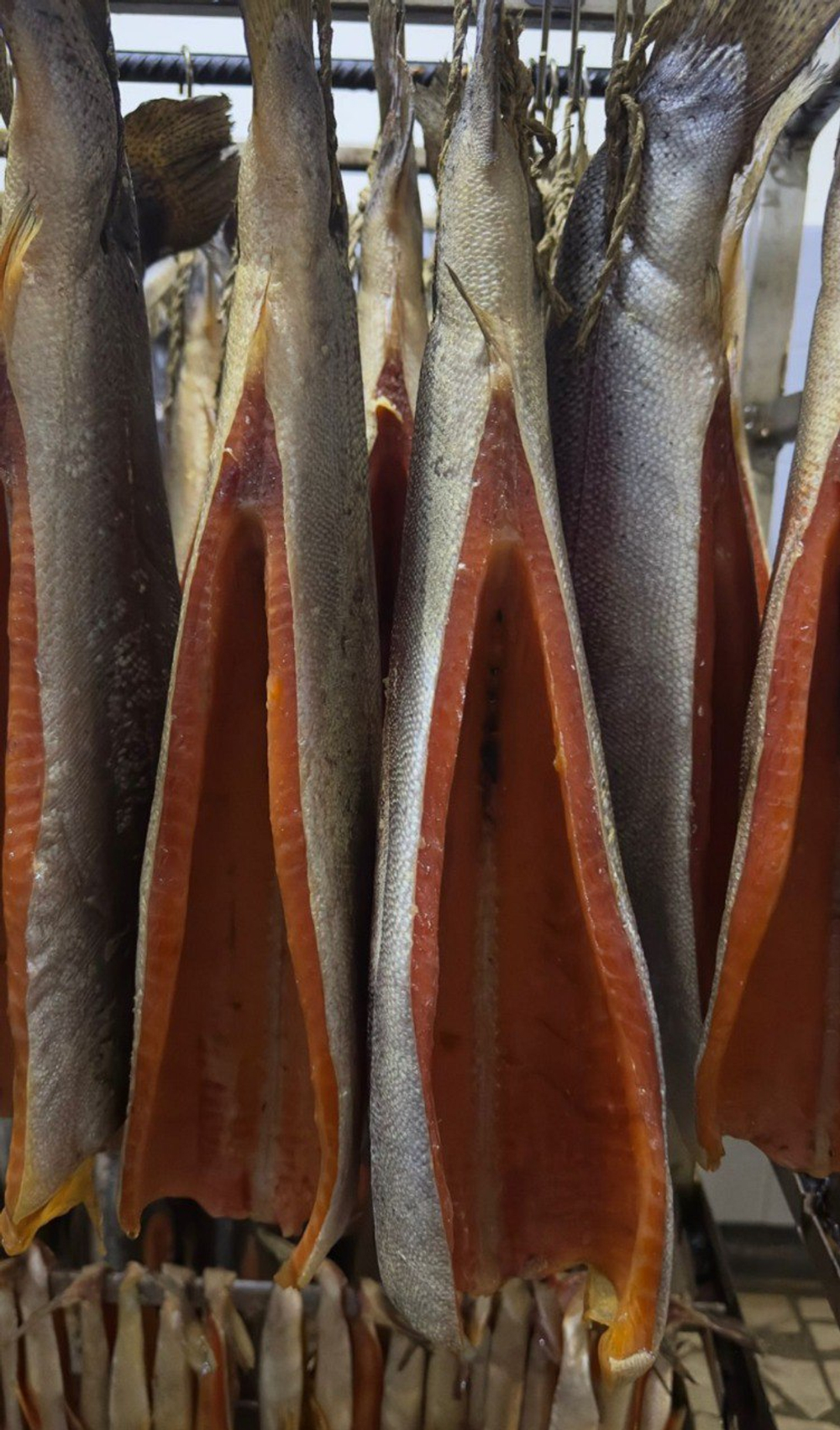 Форель холодного копчения тушка