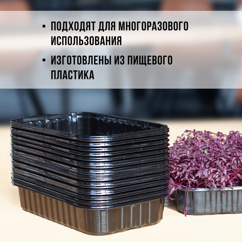 Лоток для выращивания свежей микрозелени / 18*11*5,5 см / 20 шт.