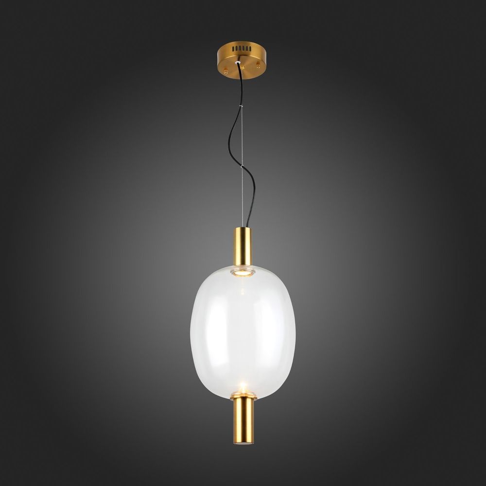 Светильник подвесной ST Luce Allenore SL1582.313.01