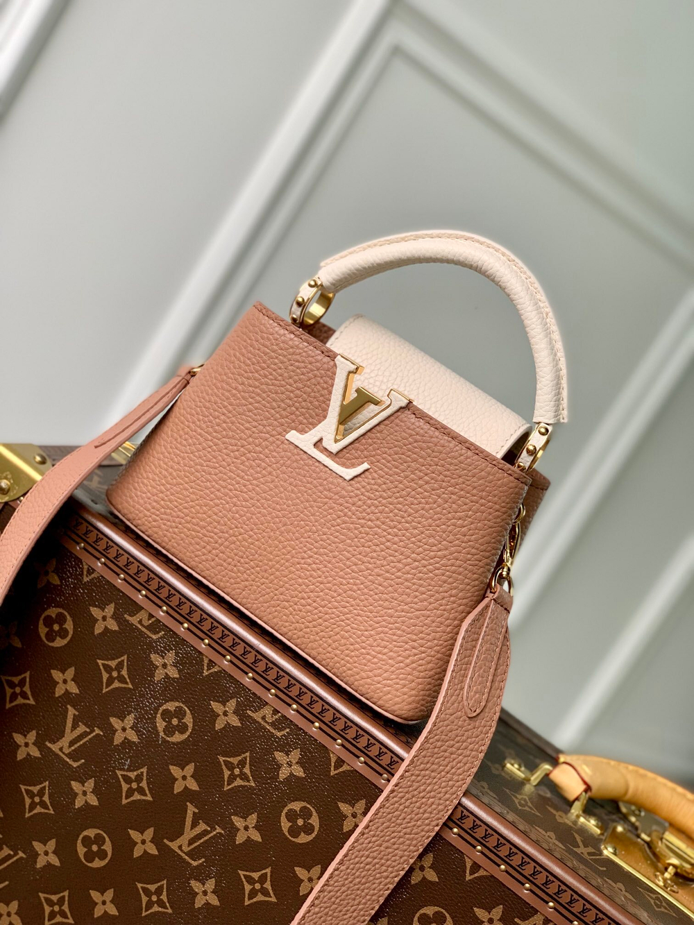 Louis Vuitton Capucines Mini