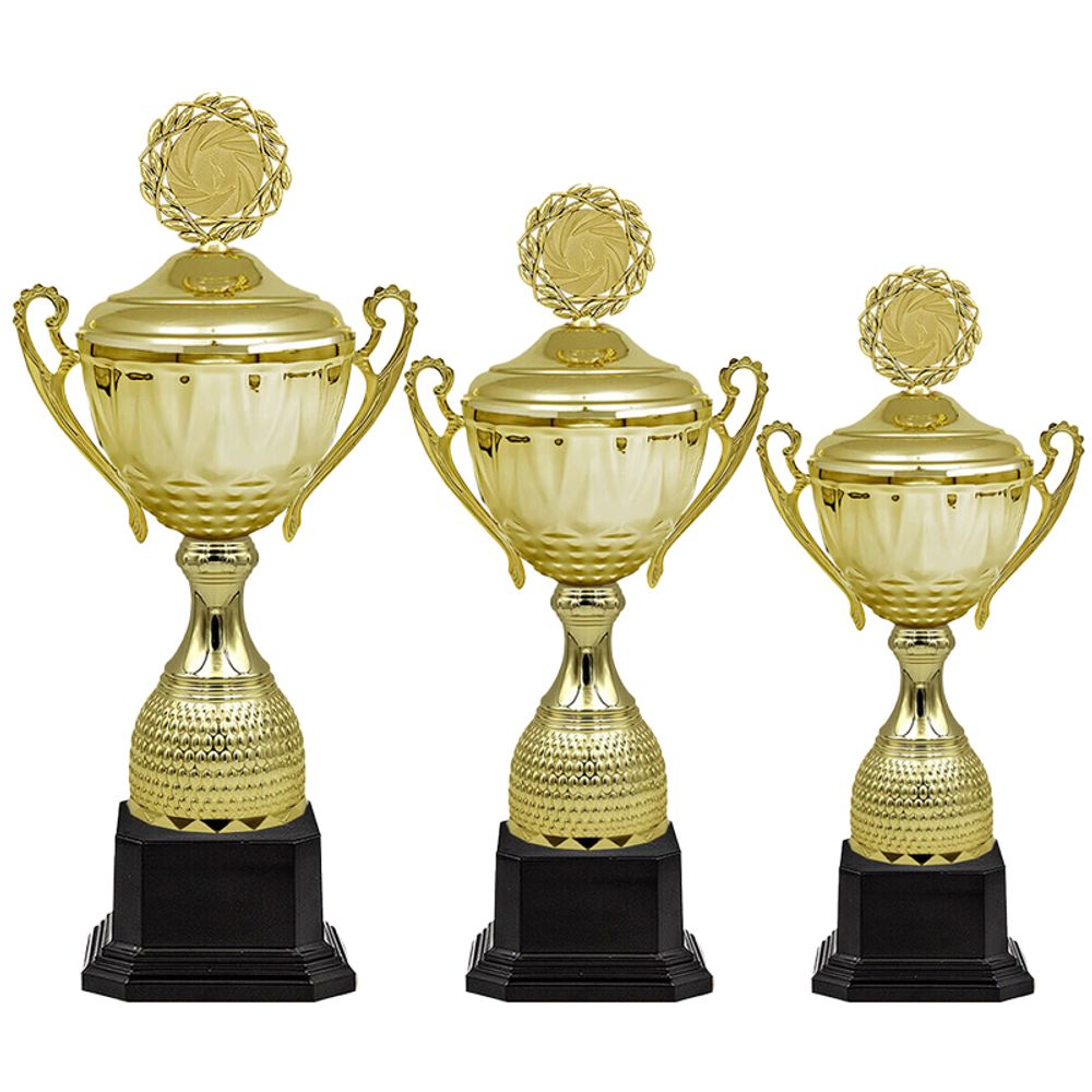 Кубок Пуаро 4848-100