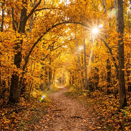 Отдушка CS - Осеннее Сияние (Autumn Glow)