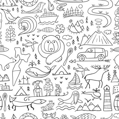 Путешествие на Камчатку. Россия